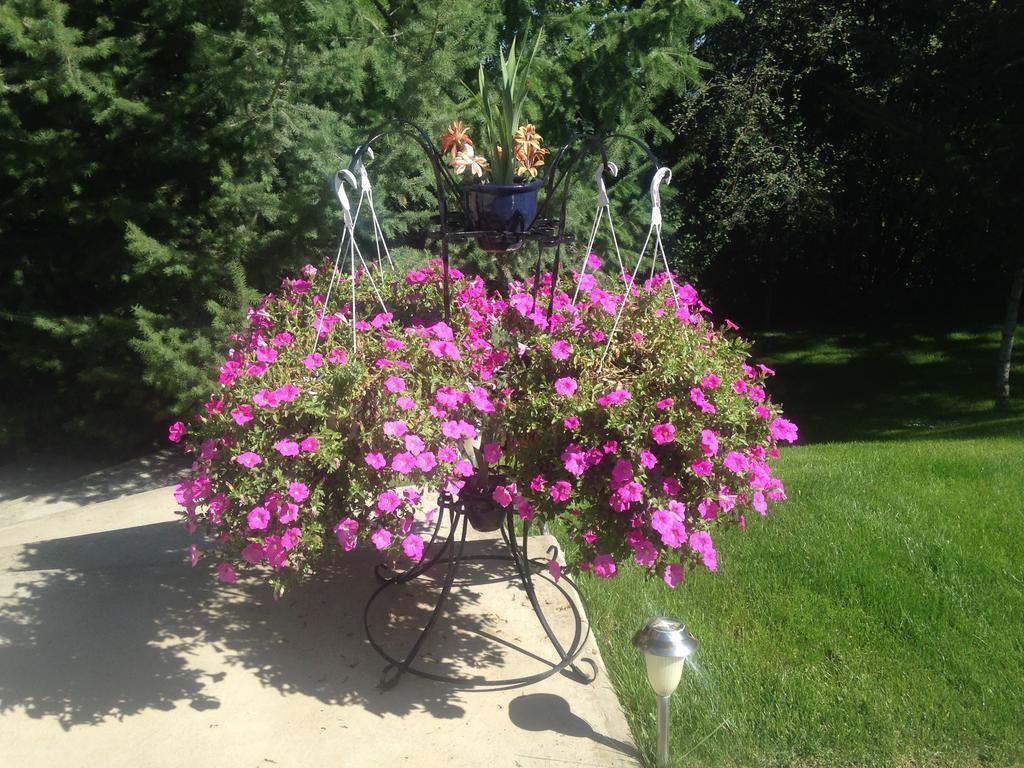 Lake Country Eagle'S Nest B&B מראה חיצוני תמונה