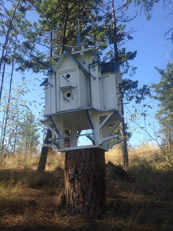 Lake Country Eagle'S Nest B&B מראה חיצוני תמונה