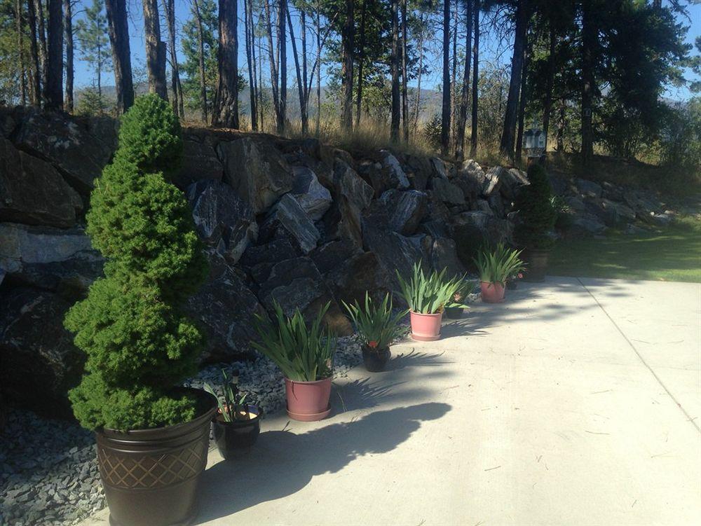 Lake Country Eagle'S Nest B&B מראה חיצוני תמונה
