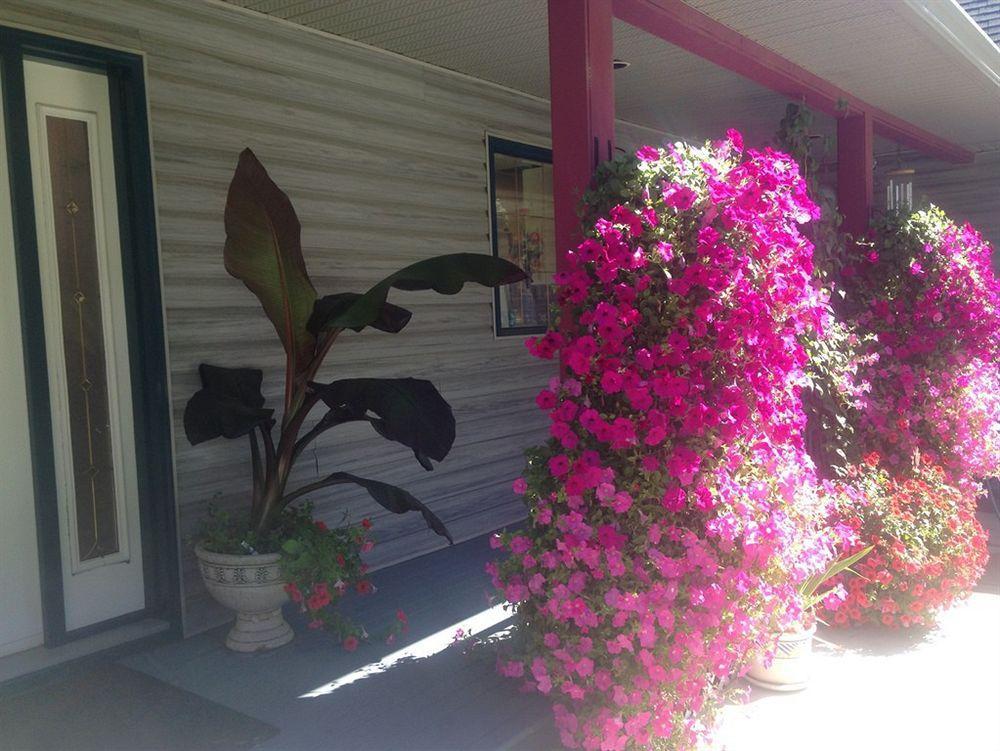 Lake Country Eagle'S Nest B&B מראה חיצוני תמונה